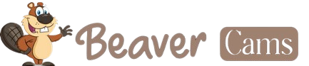 Adult Cams, Live Sex Cams & Free Webcam Chat | BeaverCams