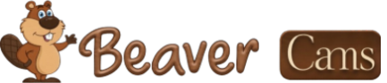 Adult Cams, Live Sex Cams & Free Webcam Chat | BeaverCams