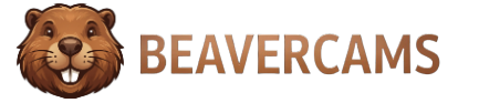 Webcam Sex Chat, Free Live Adult Cams | BeaverCams